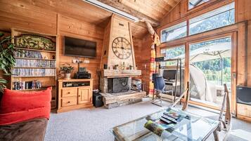 TV, fireplace, video games, DVD player