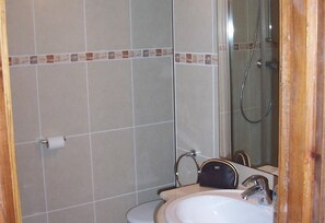 Une salle de bain équipée d’un lavabo, d’un miroir, d’une douche et de toilettes.