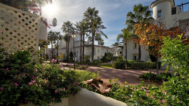A residential area with palm trees, a white building with a curved roof, and a lattice fence.