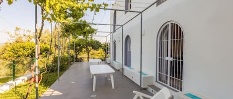 Terras