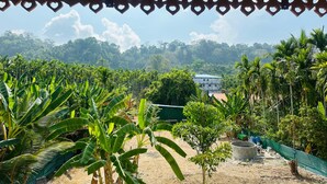 A covered outdoor area with a view of a lush, green landscape and a building in the background. - Roys Villa Havelock Sky 1 (AN)