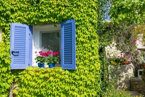 Detalle exterior