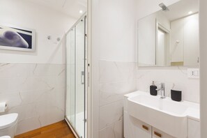Shower, hair dryer, bidet, towels