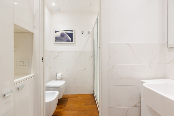 Shower, hair dryer, bidet, towels