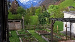 Ein Garten mit erhöhten Beeten, einem Holztisch und einer Pergola.