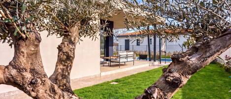 A modern outdoor seating area with a pool, surrounded by olive trees and a well-maintained lawn.