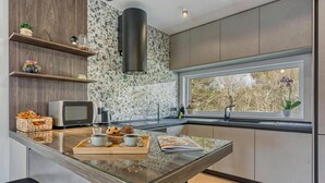 Private kitchen - Villa Gigi with private Pool, Višnjan, Croatia (Višnjan)