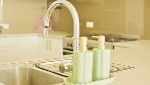 Une cuisine dotée d’un évier en acier inoxydable, d’un robinet moderne et d’un porte-savon vert.