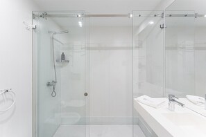 Shower, hair dryer, towels