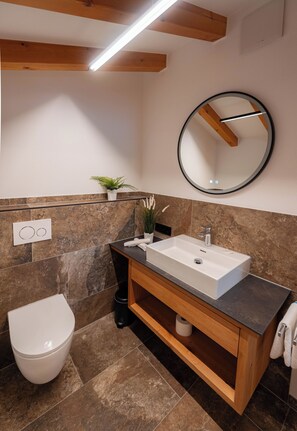 Ducha, secador de pelo y toallas