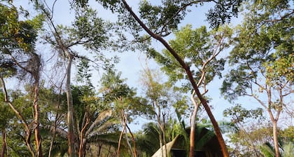 Aldea Camalote