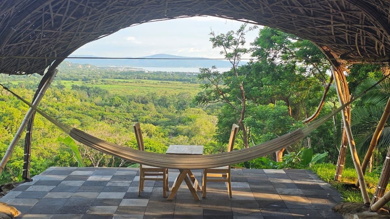 منطقة الاستقبال