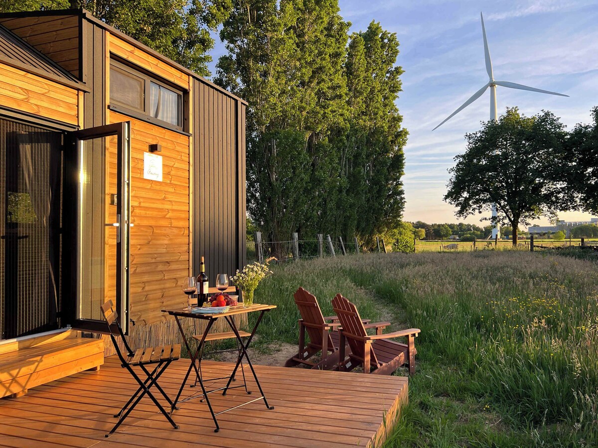 Bild für Gastgeberprofil