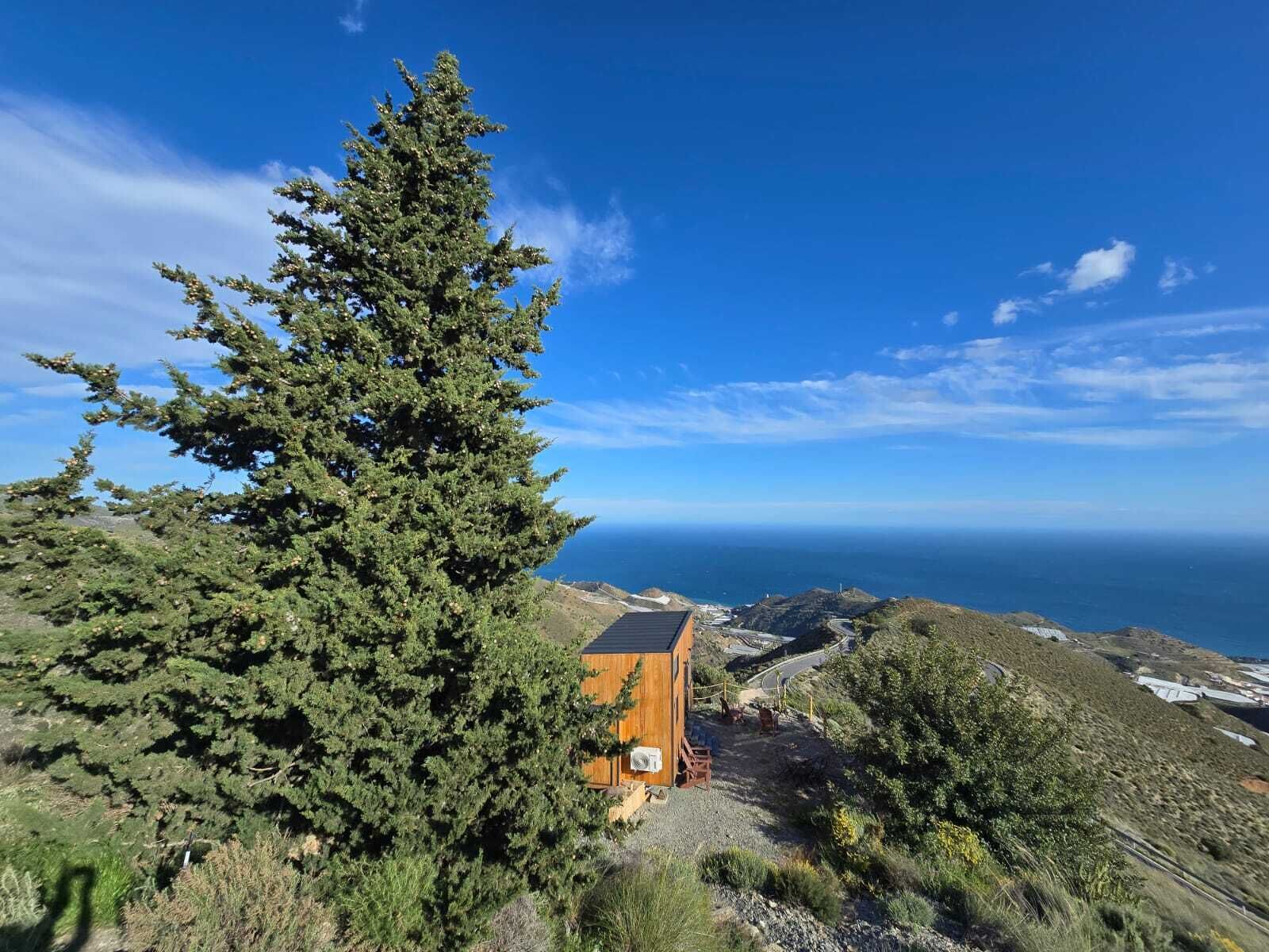 A wooden cabin with a sloped roof, surrounded by dense coniferous trees and a clear view of the ocean.