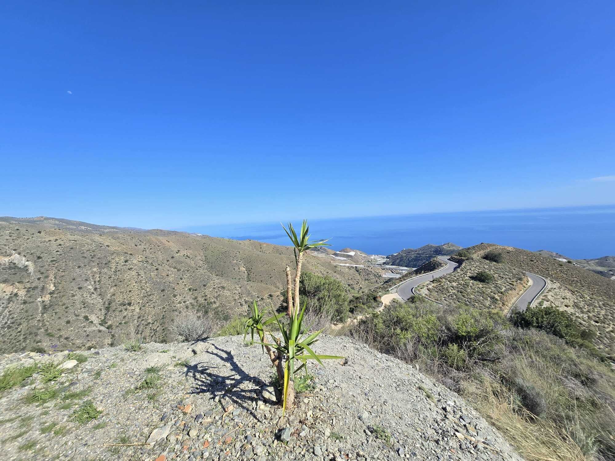 Un paisaje rocoso con poca vegetación y un camino sinuoso.