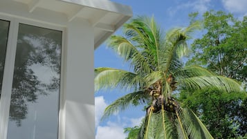Loft Mewah, pemandangan kebun | Pemandangan taman