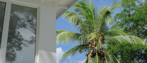 Loft Luxe, vue jardin | Vue sur le jardin