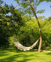 A hammock suspended between two trees in a grassy area with dense foliage in the background.