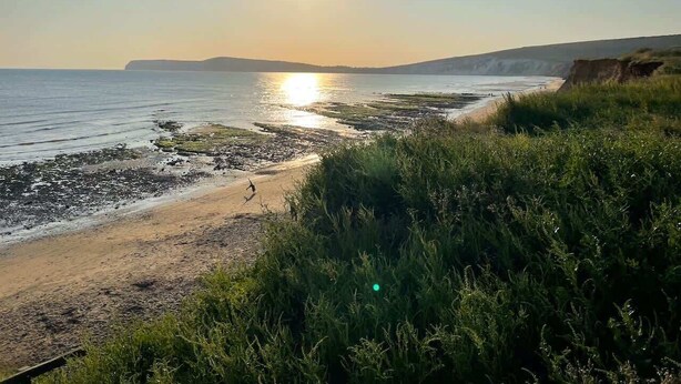 A coastal landscape with a beach, vegetation, and a clear sky.