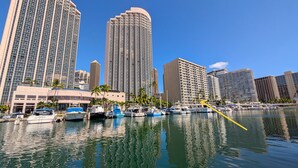 A marina with several boats docked, surrounded by high-rise buildings and palm trees. - Ocean and Marina View Suite, Spacious, Quiet and Peaceful with Amazing Sunsets (Honolulu)