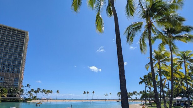 A beach with palm trees, a pool, and a hotel in the background. - Ocean and Marina View Suite, Spacious, Quiet and Peaceful with Amazing Sunsets (Honolulu)