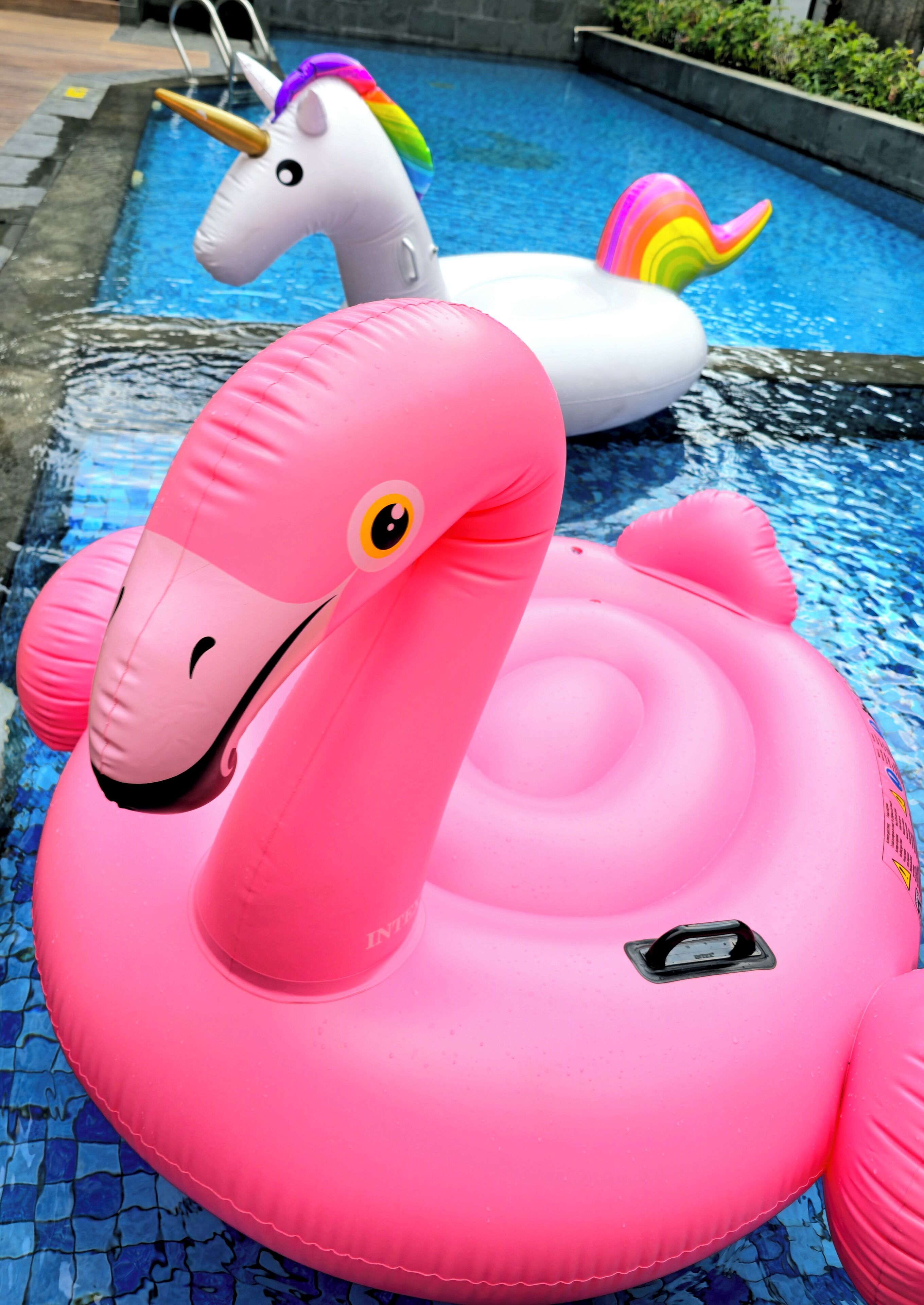 A pool with inflatable unicorn and flamingo floats.