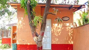 Un bâtiment à la façade rouge et orange, avec une porte et un arbre planté dans un jardinière.
