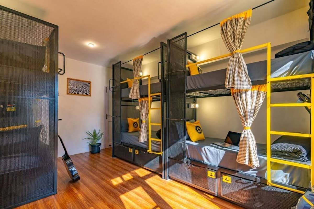A compact room with bunk beds, a small desk, and a potted plant.