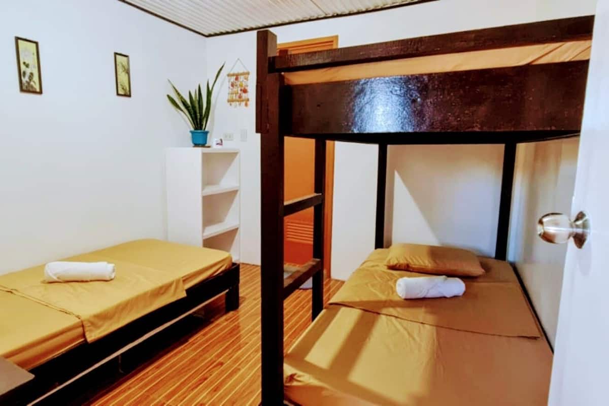 A dormitory room with bunk beds, a small shelf with a plant, and a door with a handle.