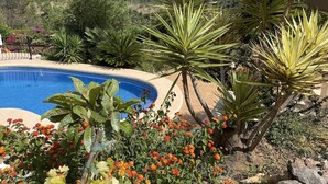 Una piscina rodeada de plantas y flores tropicales.