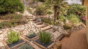 A garden with stone steps, various plants, and a palm tree. - Villa near Montgó with Pool and Beach (Javea)