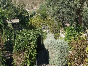 المنطقة المحيطة بالمنشأة