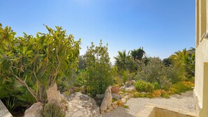 Un sendero de piedra que atraviesa un jardín con diversas plantas y rocas.