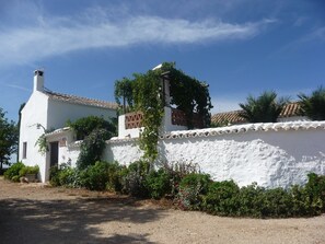 Eksteriør