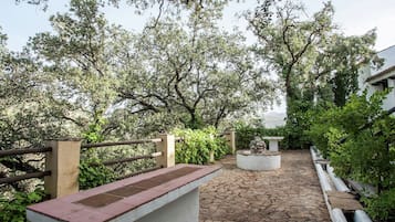 Terras