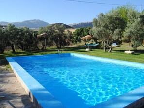 Pool - Rustic Retreat in Andalusia (Villanueva de la Concepción)