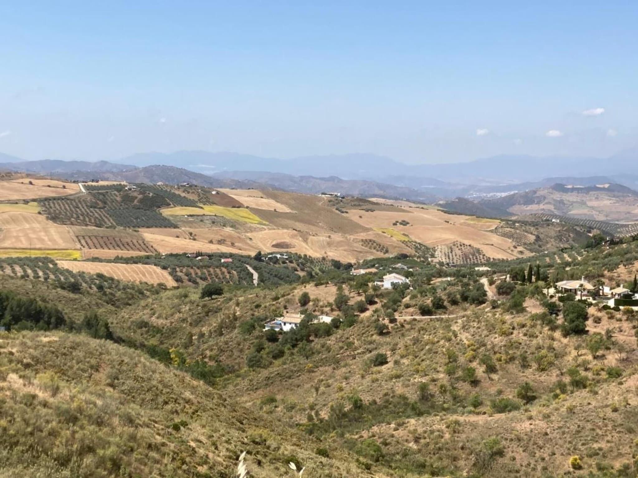 A hilly landscape with terraced fields and scattered buildings.