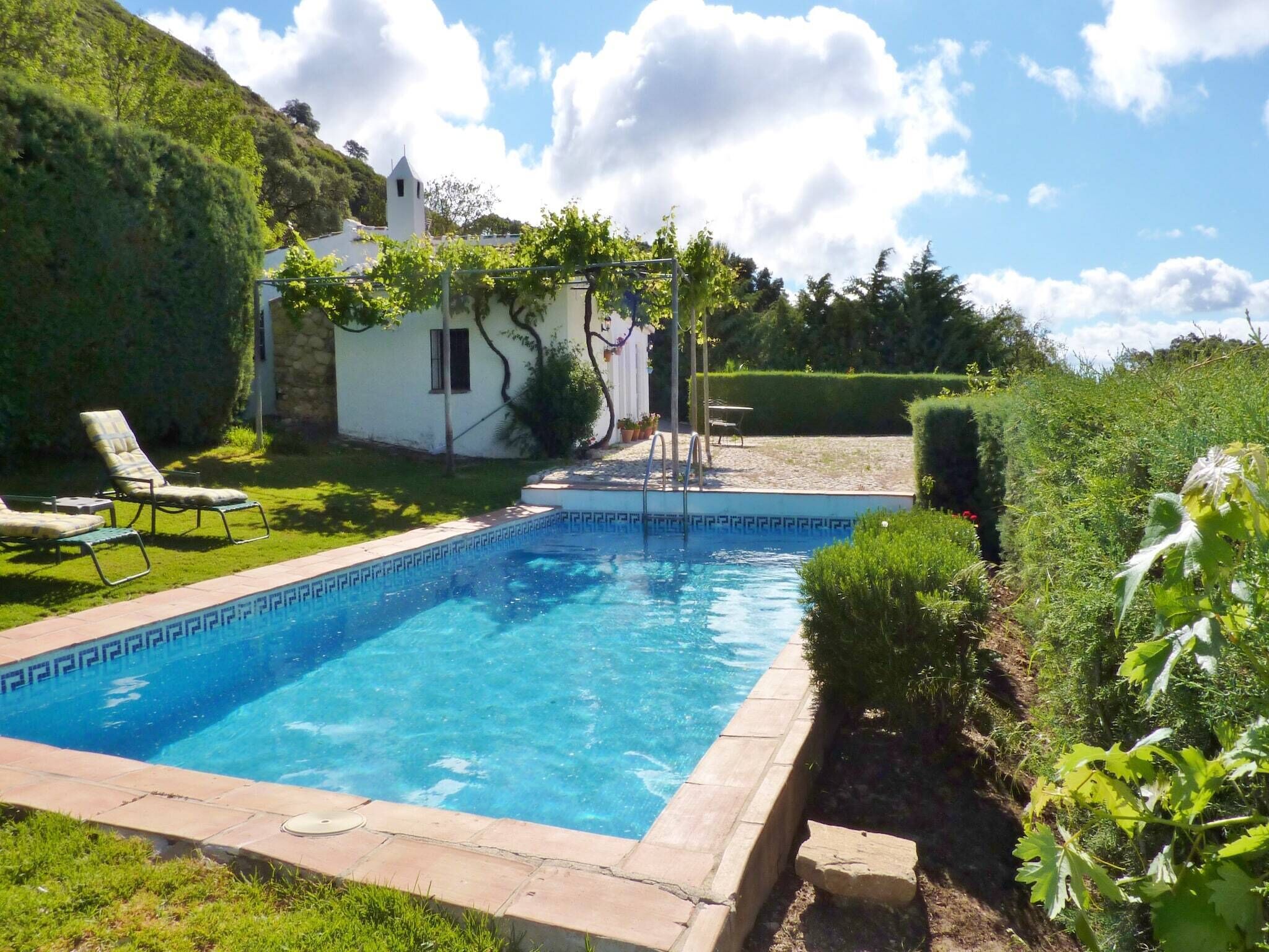 A rectangular pool with a geometric tile pattern, surrounded by a stone deck. There are lounge chairs and a small white building with a window and a door.