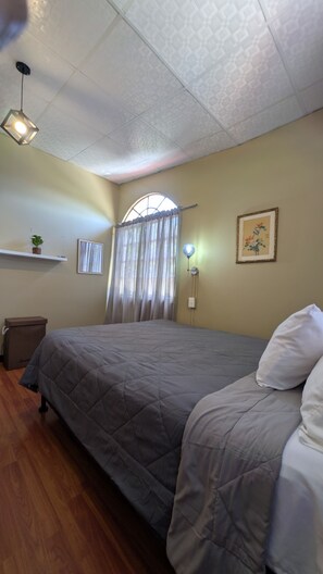 A bedroom with a bed, a bedside lamp, a window with curtains, a wall-mounted shelf with a plant, and a framed picture.