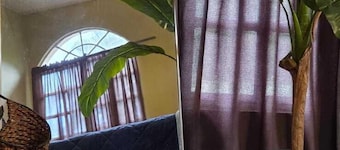 Traditional Caribbean home with pool in Port of Spain