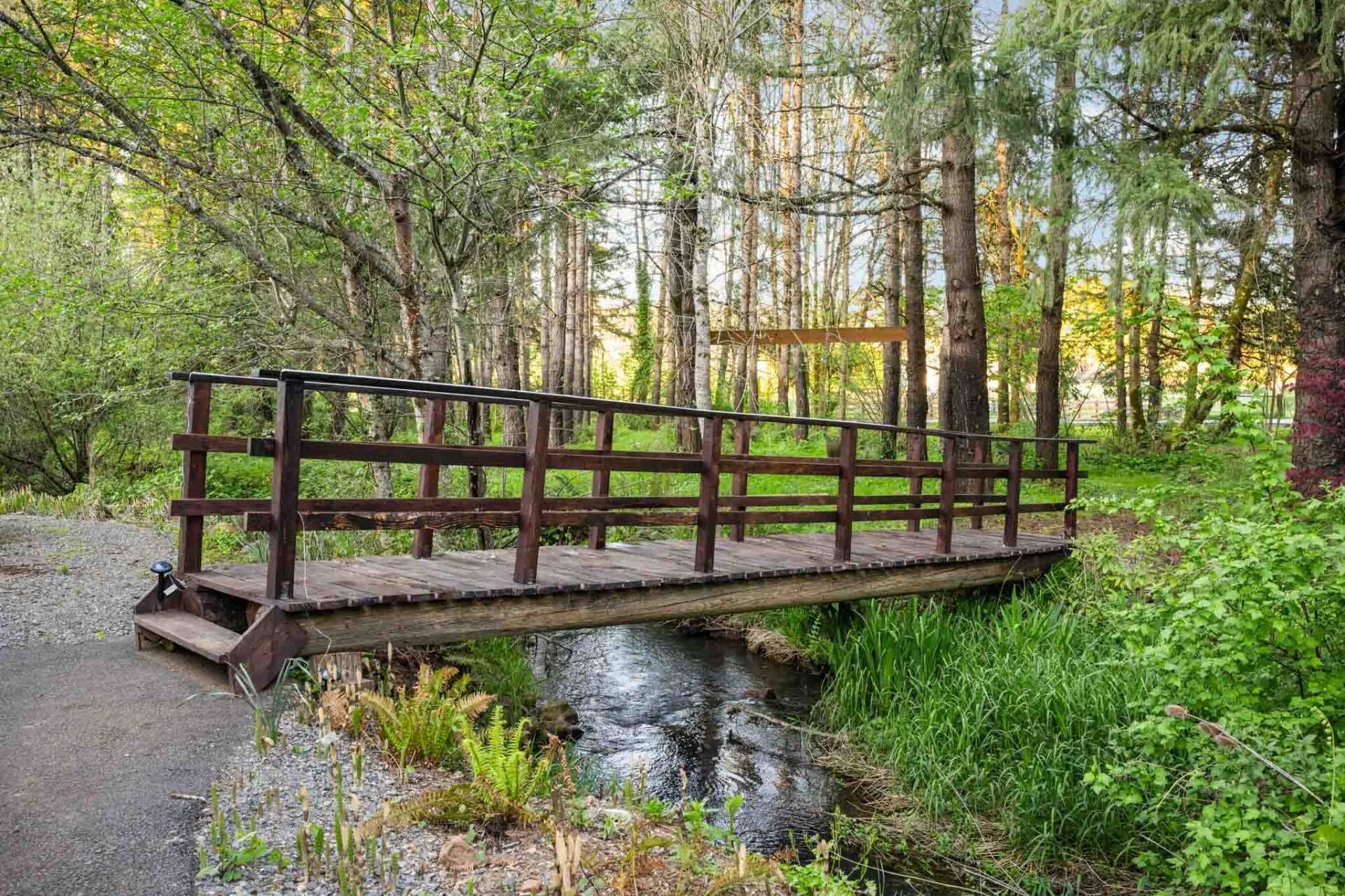 A wooden bridge over a stream in a forested area.