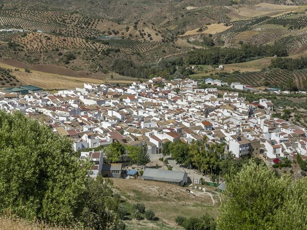 A densely packed village with closely built houses, surrounded by hilly terrain and agricultural fields.