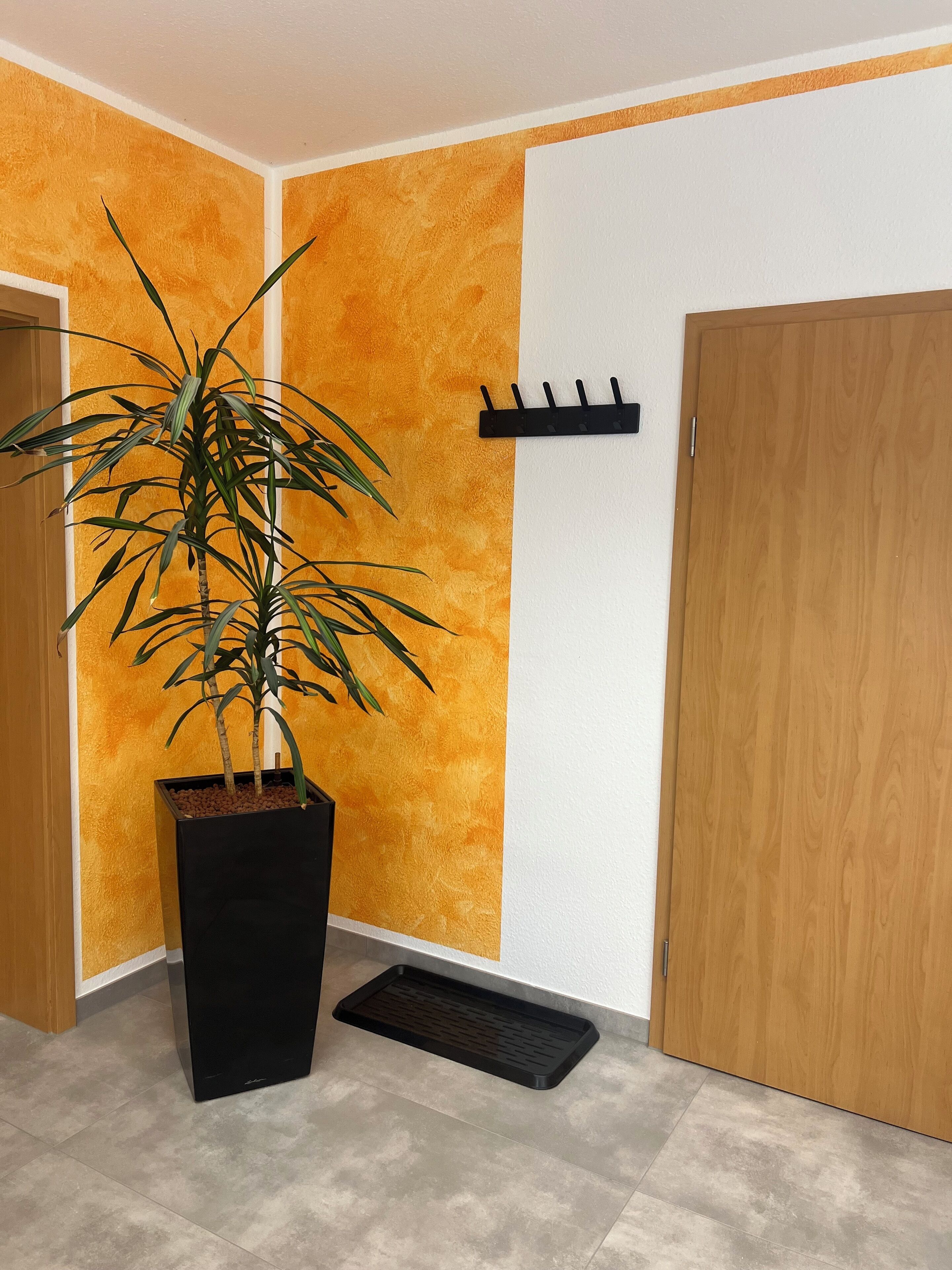 Una habitación en esquina con una planta en maceta, un colgador negro fijado a la pared y una puerta de madera.