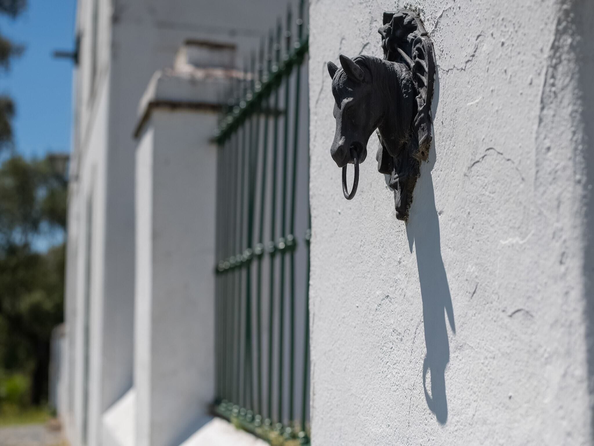Une sculpture équestre fixée à la façade d’un immeuble.