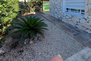 A garden area with a large green plant, gravel pathway, and a stone wall.