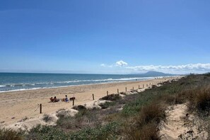 On the beach