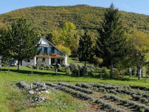 Apartment, 2 Bedrooms, Smoking, Balcony | Exterior