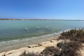 Plage à proximité