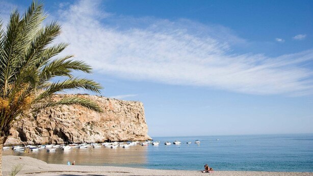 A coastal scene with a rocky cliff, a palm tree, and boats in the water. - Holiday home near the beach on the Costa Tropical (Calahonda)