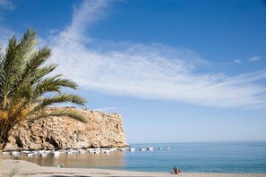 A coastal scene with a rocky cliff, a palm tree, and boats in the water.
